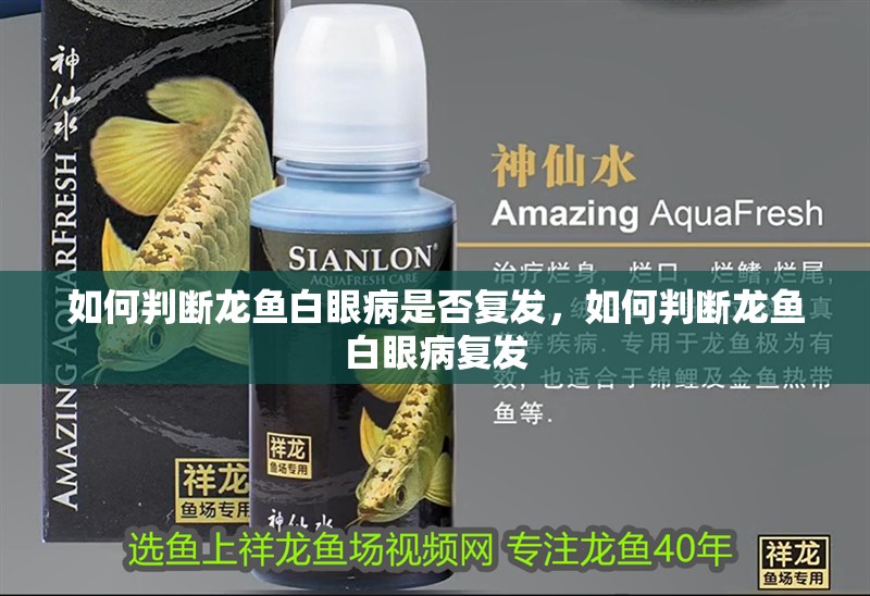 如何判斷龍魚白眼病是否復發，如何判斷龍魚白眼病復發 如何判斷龍魚白眼病是否復發，如何判斷龍魚白眼病復發 龍魚百科