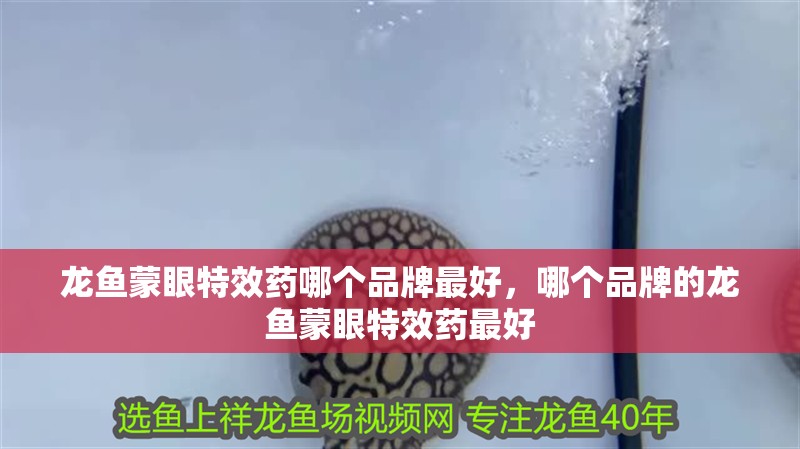 龍魚蒙眼特效藥哪個品牌最好，哪個品牌的龍魚蒙眼特效藥最好