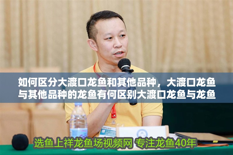 如何區分大渡口龍魚和其他品種，大渡口龍魚與其他品種的龍魚有何區別大渡口龍魚與龍魚有何區別