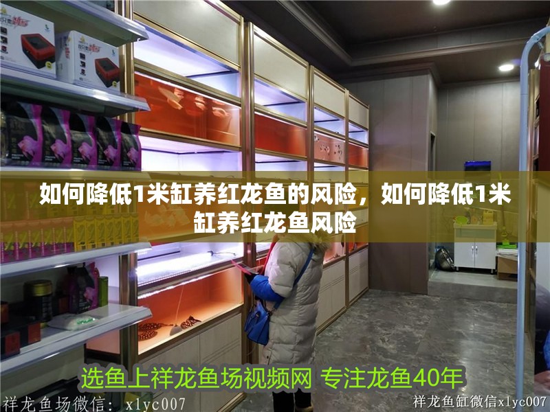 如何降低1米缸養紅龍魚的風險，如何降低1米缸養紅龍魚風險 如何降低1米缸養紅龍魚的風險，如何降低1米缸養紅龍魚風險 龍魚百科