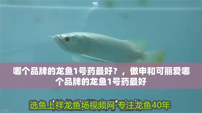 哪個品牌的龍魚1號藥最好？，傲申和可麗愛哪個品牌的龍魚1號藥最好 哪個品牌的龍魚1號藥最好？，傲申和可麗愛哪個品牌的龍魚1號藥最好 龍魚百科