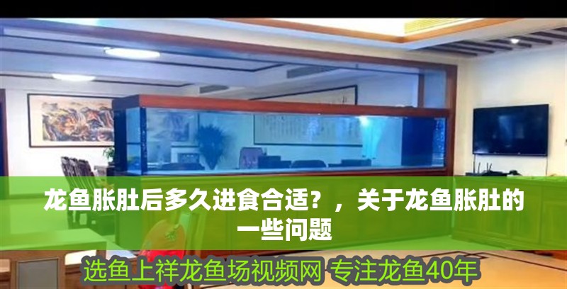 紅龍魚用黃燈烤有用嗎 龍魚脹肚后多久進食合適?,關于龍魚脹肚的一些問題 龍魚百科 龍魚脹肚后多久進食合適?,關于龍魚脹肚的一些問題 龍魚脹肚后多久進食合適?,關于龍魚脹肚的一些問題 龍魚百科