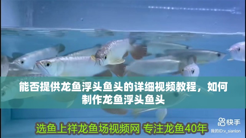 能否提供龍魚浮頭魚頭的詳細視頻教程，如何制作龍魚浮頭魚頭 能否提供龍魚浮頭魚頭的詳細視頻教程，如何制作龍魚浮頭魚頭 龍魚百科