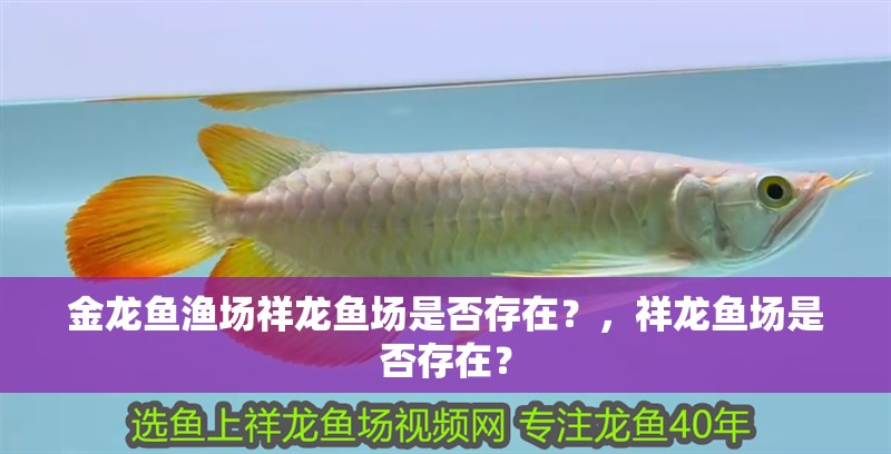 魚缸用增氧泵價格是多少:魚缸增氧機(jī)-xtrac增氧機(jī)-xtrac增氧機(jī) 金龍魚漁場祥龍魚場是否存在?,祥龍魚場是否存在? 龍魚百科 金龍魚漁場祥龍魚場是否存在?,祥龍魚場是否存在? 金龍魚漁場祥龍魚場是否存在?,祥龍魚場是否存在? 龍魚百科