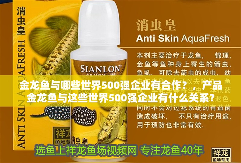 金龍魚與哪些世界500強企業有合作？，產品金龍魚與這些世界500強企業有什么關系？ 金龍魚與哪些世界500強企業有合作？，產品金龍魚與這些世界500強企業有什么關系？ 龍魚百科