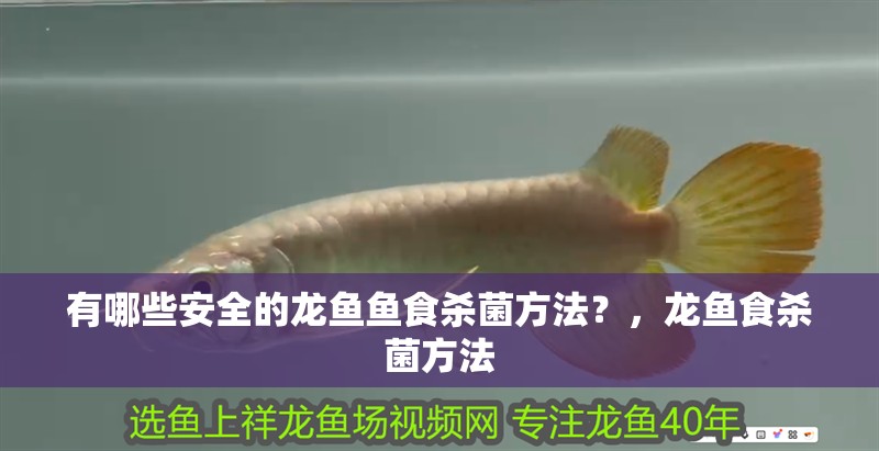 有哪些安全的龍魚魚食殺菌方法？，龍魚食殺菌方法