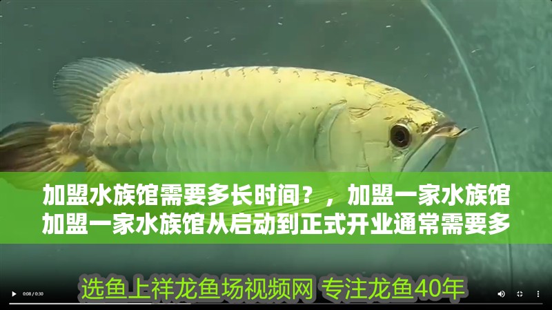 加盟水族館需要多長時間？，加盟一家水族館加盟一家水族館從啟動到正式開業通常需要多長時間