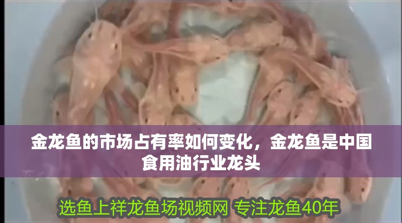 金龍魚的市場占有率如何變化，金龍魚是中國食用油行業(yè)龍頭