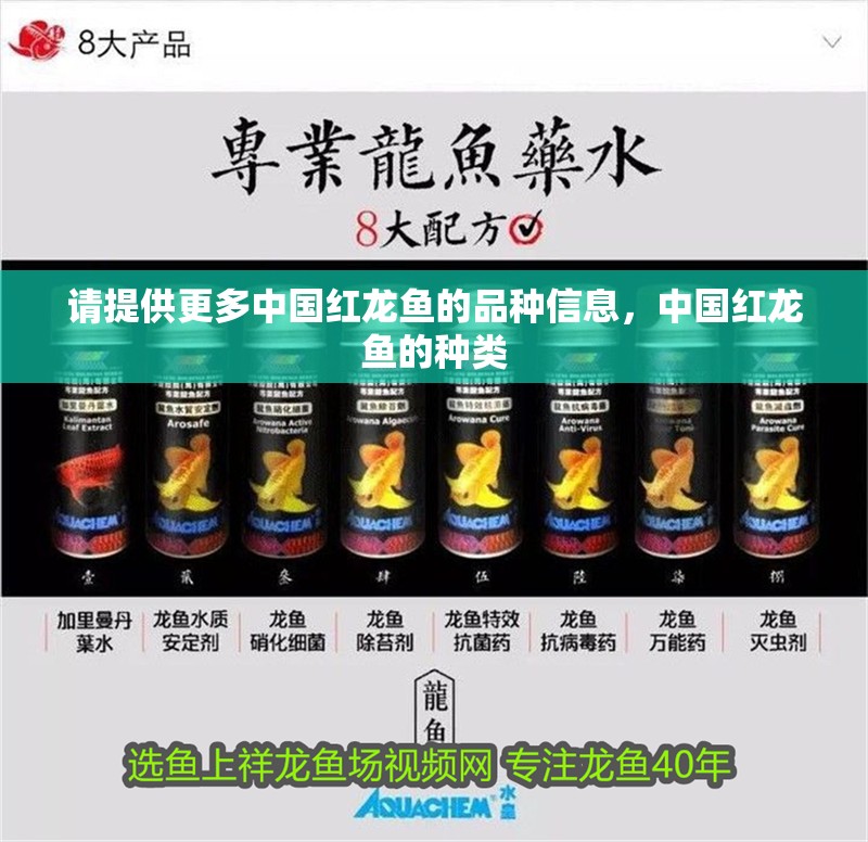 魚缸用增氧泵價格是多少:魚缸增氧機-xtrac增氧機-xtrac增氧機 請提供更多中國紅龍魚的品種信息,中國紅龍魚的種類 龍魚百科 請提供更多中國紅龍魚的品種信息,中國紅龍魚的種類 請提供更多中國紅龍魚的品種信息,中國紅龍魚的種類 龍魚百科