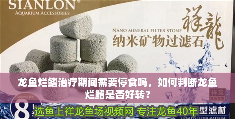 魚缸用增氧泵價格是多少:魚缸增氧機-xtrac增氧機-xtrac增氧機 龍魚爛鰭治療期間需要停食嗎,如何判斷龍魚爛鰭是否好轉? 龍魚百科 龍魚爛鰭治療期間需要停食嗎,如何判斷龍魚爛鰭是否好轉? 龍魚爛鰭治療期間需要停食嗎,如何判斷龍魚爛鰭是否好轉? 龍魚百科