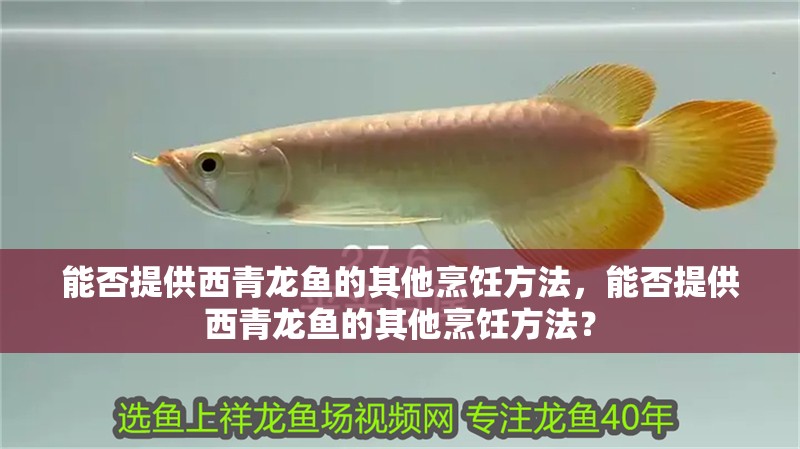 魚(yú)缸用增氧泵價(jià)格是多少:魚(yú)缸增氧機(jī)-xtrac增氧機(jī)-xtrac增氧機(jī) 能否提供西青龍魚(yú)的其他烹飪方法,能否提供西青龍魚(yú)的其他烹飪方法? 龍魚(yú)百科 能否提供西青龍魚(yú)的其他烹飪方法,能否提供西青龍魚(yú)的其他烹飪方法? 能否提供西青龍魚(yú)的其他烹飪方法,能否提供西青龍魚(yú)的其他烹飪方法? 龍魚(yú)百科