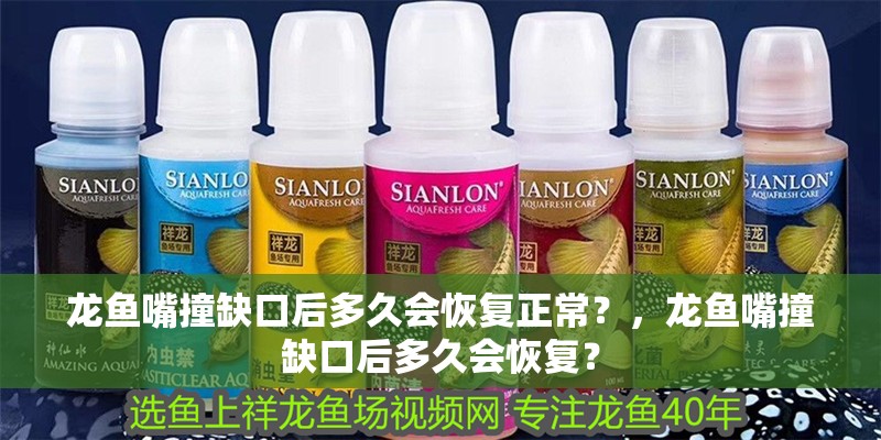 魚缸用增氧泵價格是多少:魚缸增氧機-xtrac增氧機-xtrac增氧機 龍魚嘴撞缺口后多久會恢復正常?,龍魚嘴撞缺口后多久會恢復? 龍魚百科 龍魚嘴撞缺口后多久會恢復正常?,龍魚嘴撞缺口后多久會恢復? 龍魚嘴撞缺口后多久會恢復正常?,龍魚嘴撞缺口后多久會恢復? 龍魚百科