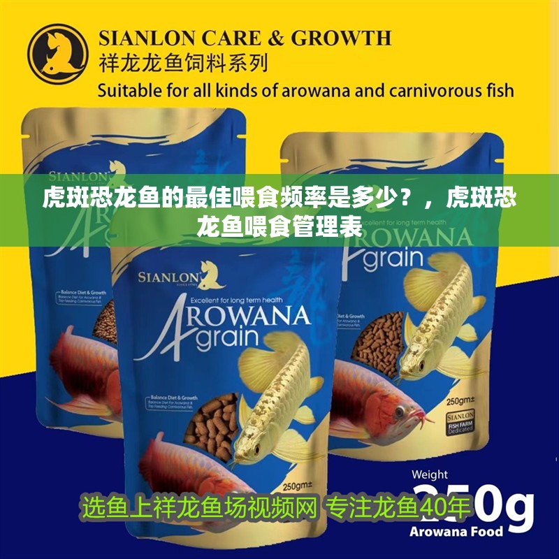 虎斑恐龍魚的最佳喂食頻率是多少？，虎斑恐龍魚喂食管理表 虎斑恐龍魚的最佳喂食頻率是多少？，虎斑恐龍魚喂食管理表 龍魚百科