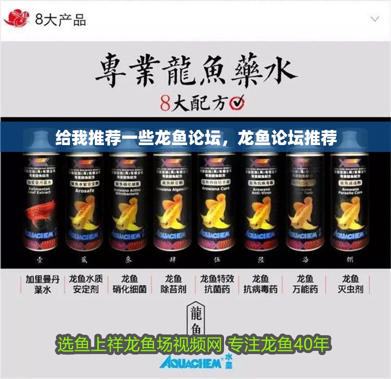給我推薦一些龍魚論壇，龍魚論壇推薦 給我推薦一些龍魚論壇，龍魚論壇推薦 龍魚百科