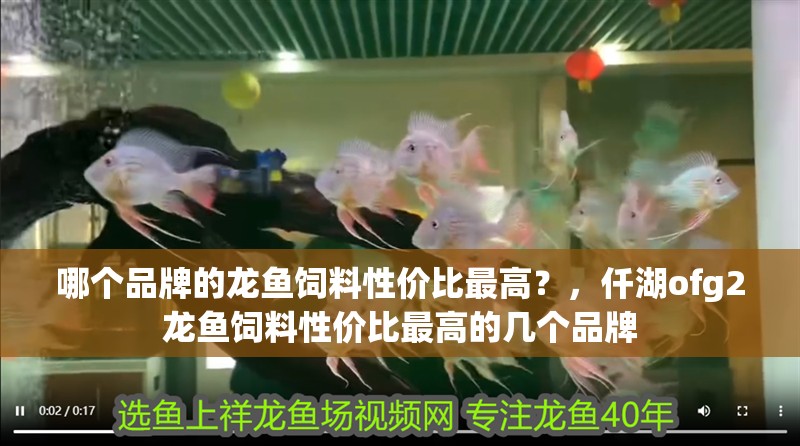 哪個品牌的龍魚飼料性價比最高？，仟湖ofg2龍魚飼料性價比最高的幾個品牌
