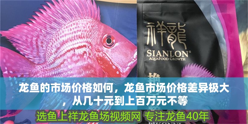 龍魚的市場價格如何，龍魚市場價格差異極大，從幾十元到上百萬元不等 龍魚的市場價格如何，龍魚市場價格差異極大，從幾十元到上百萬元不等 龍魚百科