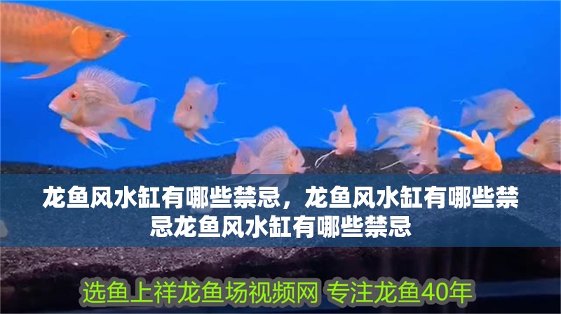 給大魚缸換水的作文:體驗給大魚缸換水的樂趣:體驗給大魚缸換水:給大魚缸換水的作文 龍魚風水缸有哪些禁忌,龍魚風水缸有哪些禁忌龍魚風水缸有哪些禁忌 龍魚百科 龍魚風水缸有哪些禁忌,龍魚風水缸有哪些禁忌龍魚風水缸有哪些禁忌 龍魚風水缸有哪些禁忌,龍魚風水缸有哪些禁忌龍魚風水缸有哪些禁忌 龍魚百科