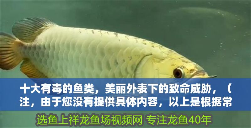 十大有毒的魚類，美麗外表下的致命威脅，（注，由于您沒有提供具體內容，以上是根據常見知識生成的標題。如果您能提供具體文本，我將為您精準提煉標題。）