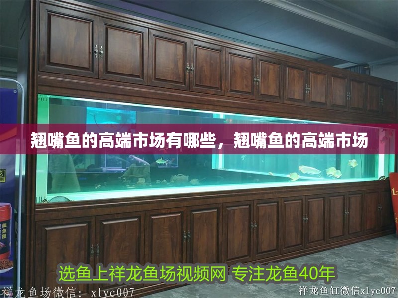 翹嘴魚的高端市場有哪些，翹嘴魚的高端市場 翹嘴魚的高端市場有哪些，翹嘴魚的高端市場 龍魚百科