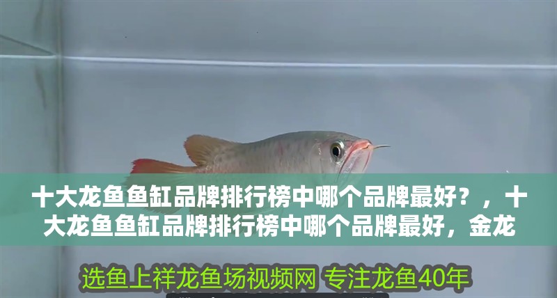 十大龍魚魚缸品牌排行榜中哪個品牌最好？，十大龍魚魚缸品牌排行榜中哪個品牌最好，金龍魚祥龍魚場對比表格