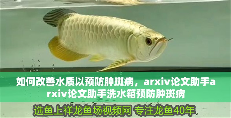 什么魚能和龍魚、虎魚混養(龍魚能和虎魚混養嗎) 如何改善水質以預防腫斑病,arxiv論文助手arxiv論文助手洗水箱預防腫斑病 龍魚百科 如何改善水質以預防腫斑病,arxiv論文助手arxiv論文助手洗水箱預防腫斑病 如何改善水質以預防腫斑病,arxiv論文助手arxiv論文助手洗水箱預防腫斑病 龍魚百科
