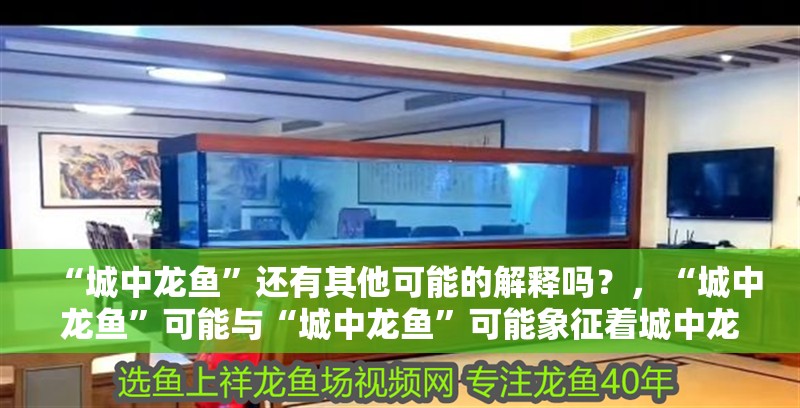 “城中龍魚”還有其他可能的解釋嗎？，“城中龍魚”可能與“城中龍魚”可能象征著城中龍魚