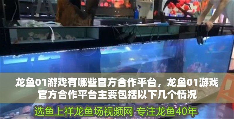 龍魚(yú)01游戲有哪些官方合作平臺(tái)，龍魚(yú)01游戲官方合作平臺(tái)主要包括以下幾個(gè)情況