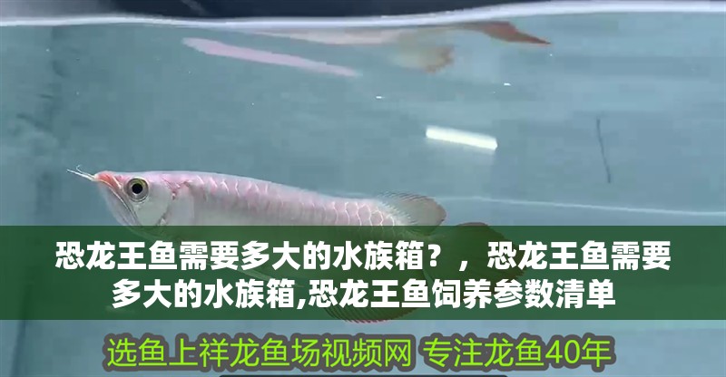 恐龍王魚需要多大的水族箱？，恐龍王魚需要多大的水族箱,恐龍王魚飼養參數清單 恐龍王魚需要多大的水族箱？，恐龍王魚需要多大的水族箱,恐龍王魚飼養參數清單 龍魚百科