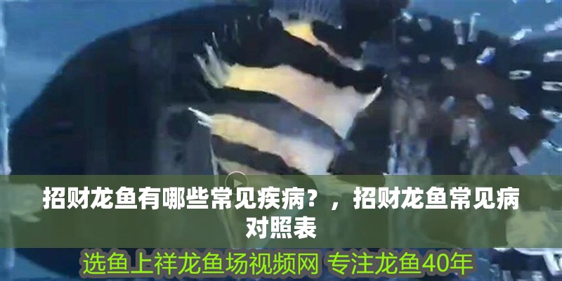 招財龍魚有哪些常見疾??？，招財龍魚常見病對照表 招財龍魚有哪些常見疾??？，招財龍魚常見病對照表 龍魚百科