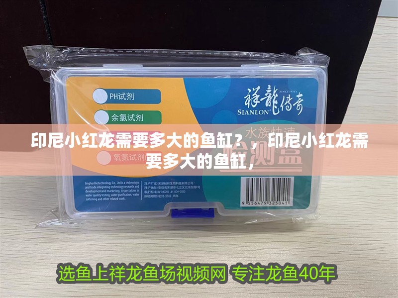 魚缸用增氧泵價(jià)格是多少:魚缸增氧機(jī)-xtrac增氧機(jī)-xtrac增氧機(jī) 印尼小紅龍需要多大的魚缸?,印尼小紅龍需要多大的魚缸, 龍魚百科 印尼小紅龍需要多大的魚缸?,印尼小紅龍需要多大的魚缸, 印尼小紅龍需要多大的魚缸?,印尼小紅龍需要多大的魚缸, 龍魚百科