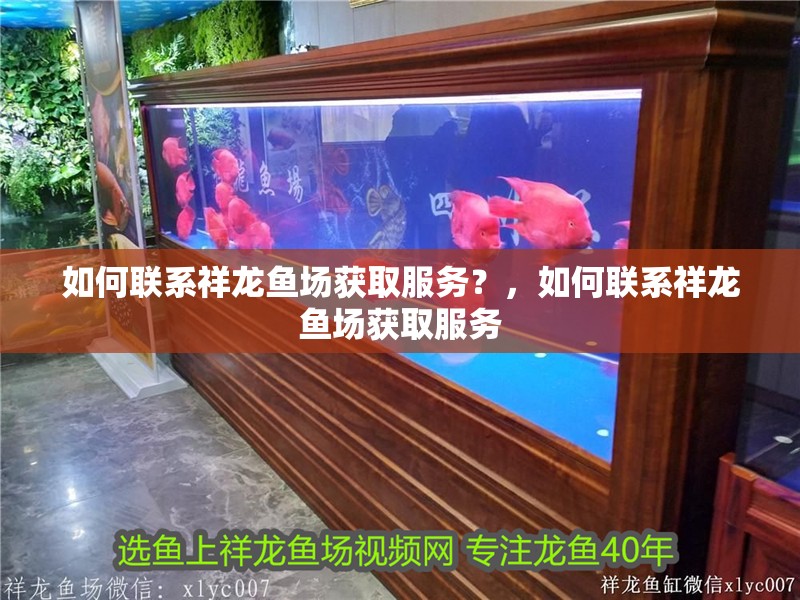 如何聯系祥龍魚場獲取服務？，如何聯系祥龍魚場獲取服務