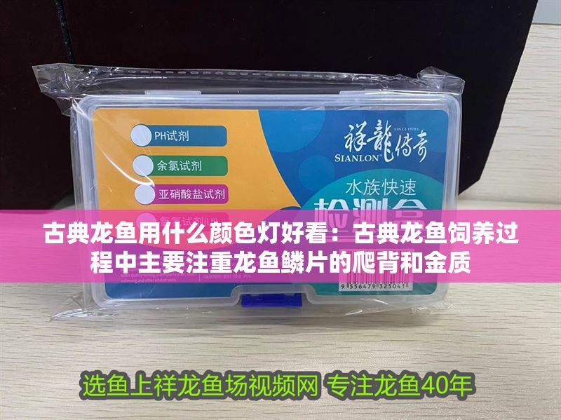 古典龍魚用什么顏色燈好看：古典龍魚飼養過程中主要注重龍魚鱗片的爬背和金質