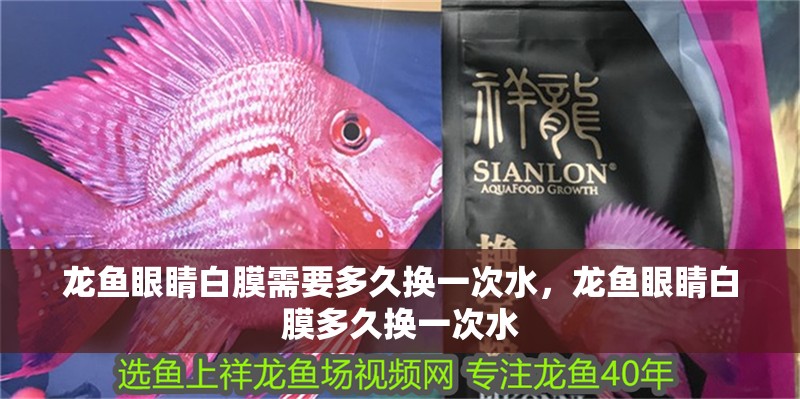 龍魚眼睛白膜需要多久換一次水，龍魚眼睛白膜多久換一次水