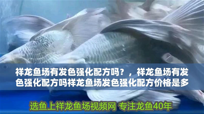 我的虎魚真菌感染了要怎么處理 祥龍魚場有發色強化配方嗎?,祥龍魚場有發色強化配方嗎祥龍魚場發色強化配方價格是多少 龍魚百科 祥龍魚場有發色強化配方嗎?,祥龍魚場有發色強化配方嗎祥龍魚場發色強化配方價格是多少 祥龍魚場有發色強化配方嗎?,祥龍魚場有發色強化配方嗎祥龍魚場發色強化配方價格是多少 龍魚百科
