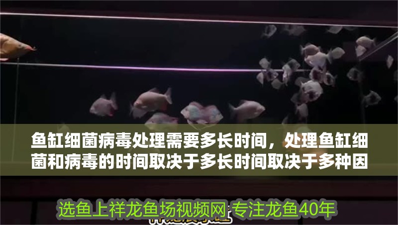 魚缸細菌病毒處理需要多長時間，處理魚缸細菌和病毒的時間取決于多長時間取決于多種因素