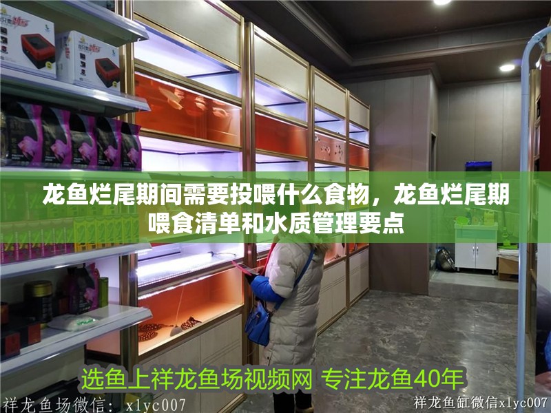 龍魚爛尾期間需要投喂什么食物，龍魚爛尾期喂食清單和水質(zhì)管理要點(diǎn)