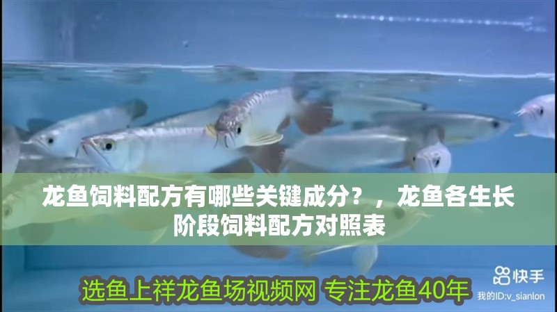 龍魚飼料配方有哪些關鍵成分？，龍魚各生長階段飼料配方對照表 龍魚飼料配方有哪些關鍵成分？，龍魚各生長階段飼料配方對照表 龍魚百科