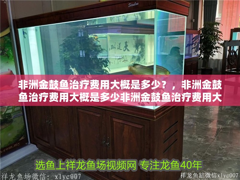 非洲金鼓魚治療費用大概是多少？，非洲金鼓魚治療費用大概是多少非洲金鼓魚治療費用大概是多少