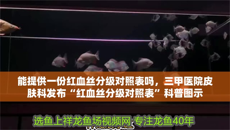 魚缸過濾器選購指南:自制魚缸過濾器魚缸上置過濾器對于養魚愛好者的必備知識 能提供一份紅血絲分級對照表嗎,三甲醫院皮膚科發布“紅血絲分級對照表”科普圖示 龍魚百科 能提供一份紅血絲分級對照表嗎,三甲醫院皮膚科發布“紅血絲分級對照表”科普圖示 能提供一份紅血絲分級對照表嗎,三甲醫院皮膚科發布“紅血絲分級對照表”科普圖示 龍魚百科