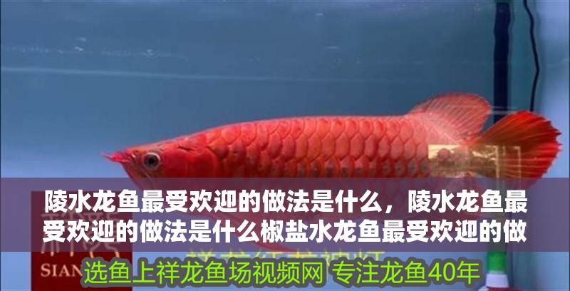 陵水龍魚最受歡迎的做法是什么，陵水龍魚最受歡迎的做法是什么椒鹽水龍魚最受歡迎的做法是什么