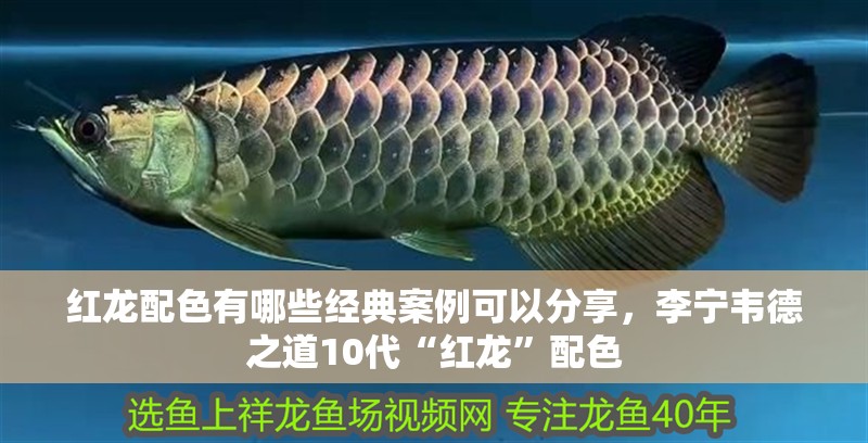 紅龍配色有哪些經典案例可以分享，李寧韋德之道10代“紅龍”配色