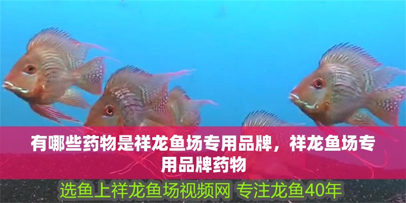 有哪些藥物是祥龍魚場專用品牌，祥龍魚場專用品牌藥物