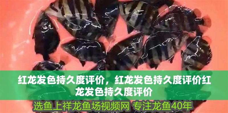 紅龍發色持久度評價，紅龍發色持久度評價紅龍發色持久度評價