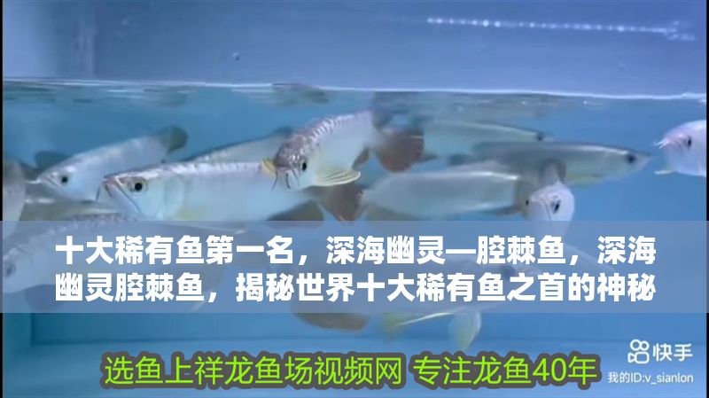 十大稀有魚第一名，深海幽靈—腔棘魚，深海幽靈腔棘魚，揭秘世界十大稀有魚之首的神秘生存之謎