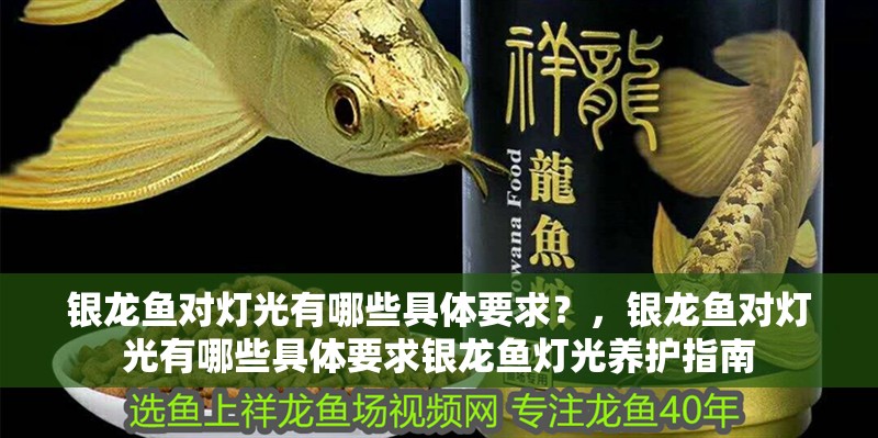 銀龍魚(yú)對(duì)燈光有哪些具體要求？，銀龍魚(yú)對(duì)燈光有哪些具體要求銀龍魚(yú)燈光養(yǎng)護(hù)指南 銀龍魚(yú)對(duì)燈光有哪些具體要求？，銀龍魚(yú)對(duì)燈光有哪些具體要求銀龍魚(yú)燈光養(yǎng)護(hù)指南 龍魚(yú)百科