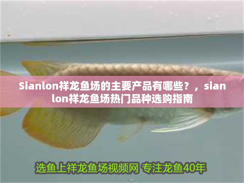 Sianlon祥龍魚場的主要產品有哪些？，sianlon祥龍魚場熱門品種選購指南