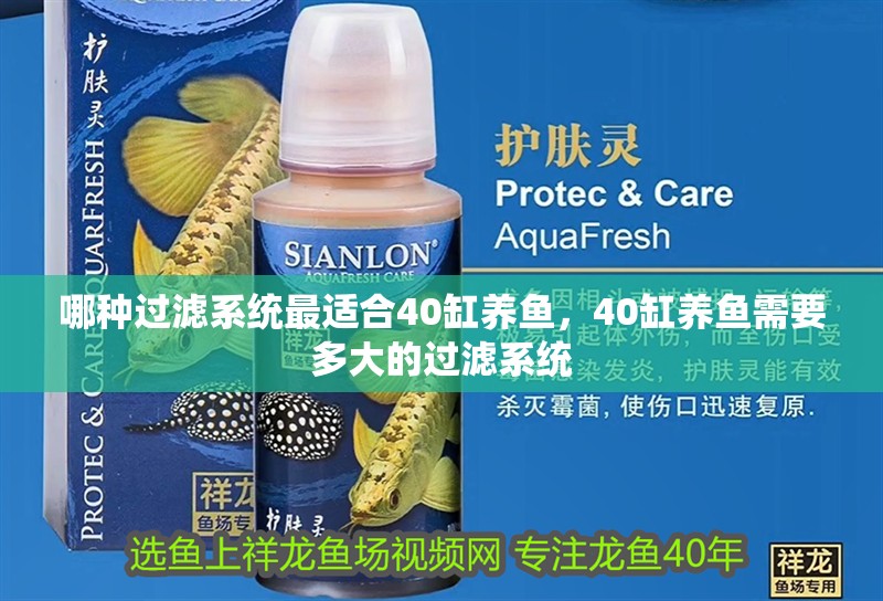 龍魚怕什么 哪種過濾系統最適合40缸養魚,40缸養魚需要多大的過濾系統 龍魚百科 哪種過濾系統最適合40缸養魚,40缸養魚需要多大的過濾系統 哪種過濾系統最適合40缸養魚,40缸養魚需要多大的過濾系統 龍魚百科