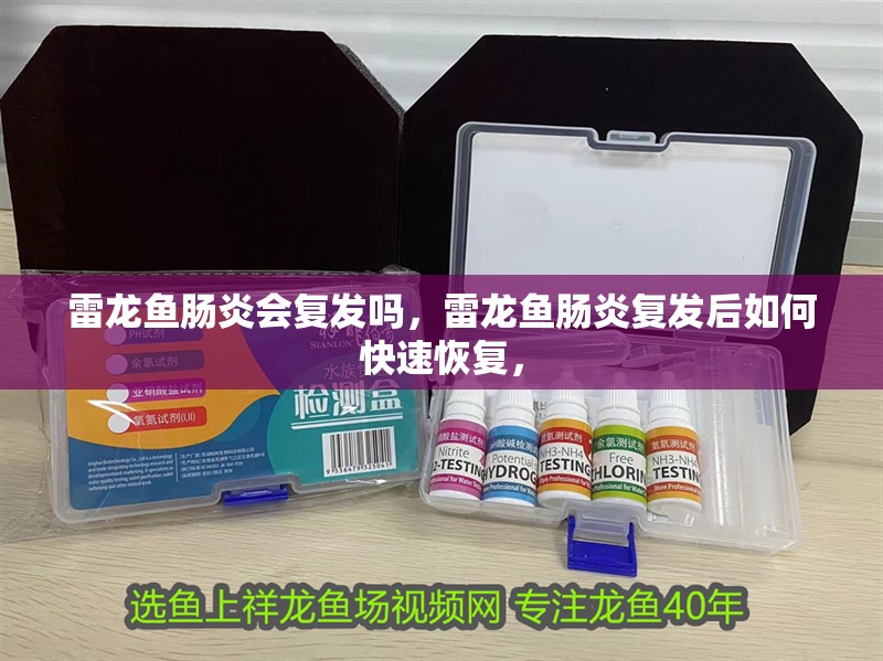 雷龍魚腸炎會復發嗎，雷龍魚腸炎復發后如何快速恢復， 雷龍魚腸炎會復發嗎，雷龍魚腸炎復發后如何快速恢復， 龍魚百科