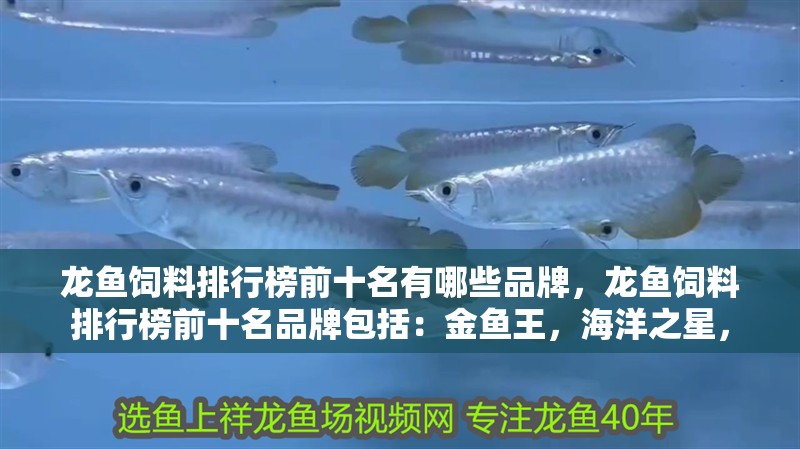 龍魚飼料排行榜前十名有哪些品牌，龍魚飼料排行榜前十名品牌包括：金魚王，海洋之星，