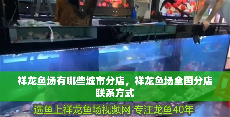 祥龍魚場有哪些城市分店，祥龍魚場全國分店聯(lián)系方式 祥龍魚場有哪些城市分店，祥龍魚場全國分店聯(lián)系方式 龍魚百科